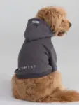 Comfrt Tranquil Paw Hoodie Now $19, Originally $50 $19.00