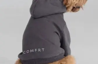 Comfrt Tranquil Paw Hoodie Now $19, Originally $50 $19.00