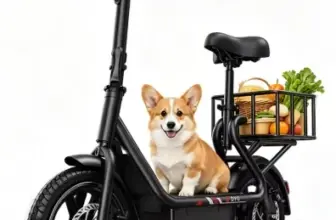 DYU C4 14-Inch Folding Electric Scooter – Now $150