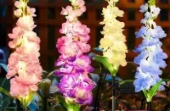 Kooper Vivid Flowers Solar Garden Lights with 36 LEDs for $14.49