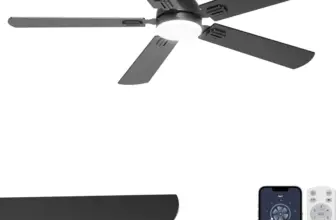 Phylluz 52″ DC Motor 6-Speed Flush Mount Ceiling Fan Light for $42.59