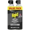 Raid 14oz Wasp & Hornet Killer Spray (2-Pack) for $5.31