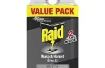 Raid 14oz Wasp & Hornet Killer Spray (2-Pack) for $5.31