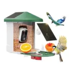 Smart Bird Feeder with Camera for $69.23 – AI Bird Species Identification
