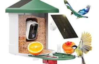 Smart Bird Feeder with Camera for $69.23 – AI Bird Species Identification