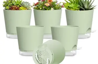 SQKH Self-Watering Plastic Planters – 6 or 7-Pack for $7.99