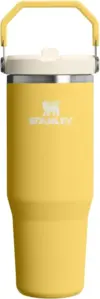 Stanley IceFlow 2.0 Flip Straw Tumbler with Handle (30oz) for $21