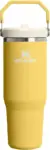 Stanley IceFlow 2.0 Flip Straw Tumbler with Handle (30oz) for $21