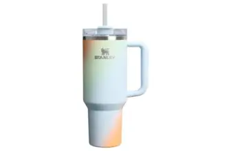Stanley Quencher H2.0 Tumbler 40oz for $27.99