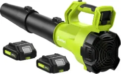 Sunchers 500-CFM 2-Speed Portable Cordless Leaf Blower with Batteries for $39.19