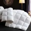 Ubauba 106×90″ Lightweight Cotton Goose Down Duvet Comforter for $31.91