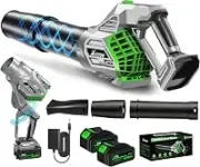 Dapzioo 2-in-1 Cordless Grass Blower – Lightweight, Battery Powered – $62.99