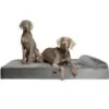 Noah & Paw XXL Orthopedic Memory Foam Cooling Gel Dog Bed for $65