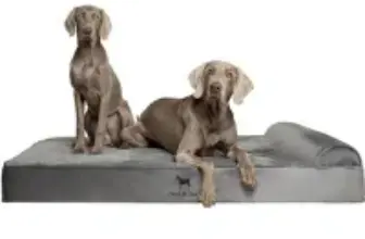 Noah & Paw XXL Orthopedic Memory Foam Cooling Gel Dog Bed for $65