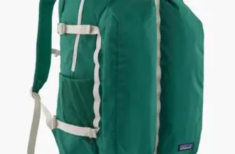 Patagonia Refugio Daypack Backpack 32L for $61.83