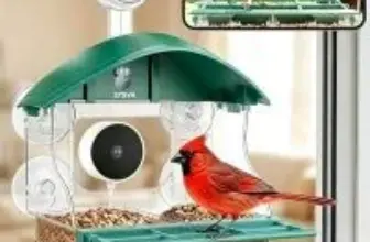 STSVA 2K Arrival Alert Window Bird Feeder with Camera for $19.99