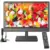 New 17″ Portable TV with Multiple Connectivity Options for $251.99