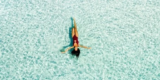5-Night All-Inclusive Cancun Trip with Flights for $999
