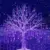 Adecorty 192-LED Purple Meteor Shower Lights for $6.49