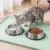 Aisslro Silicone Pet Feeding Mat w/ Raised Edges $8.99