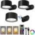 Amiaedu Holographic Blade Fly Fans (4-Pack) Now $17.09