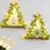 2-Pack Aolupal Macrame Hanging Shelves with Eucalyptus Lighted Garland for $11