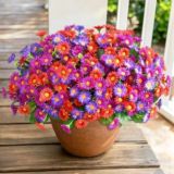 Realistic Artificial Boxwood Shrubs 4-Pack for $9.79