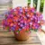 Realistic Artificial Boxwood Shrubs 4-Pack for $9.79