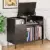 Bizoeiron Record Player Stand with Flip-Top & Drawers for $39.99