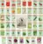 43-Pack Black Duck Brand Heirloom Vegetable & Herb Seeds for $9.99