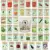 43 Count Black Duck Brand Heirloom Vegetable & Herb Seed Packets for $9.49