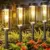 Bonlion Bright & Taller Solar Pathway Outdoor Lights (6-Pack) for $24.99