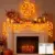 Brightown 20′ 40-LED Fall Decor Garland (2-Pack) for $4.99
