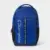 Champion Center Backpack in Royal Blue for $12.24