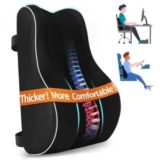 CloudBliss Ergonomic Lumbar Support Pillow for $20