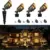 Coloer 480-Lumen Brass Waterproof Outdoor Spotlights (4-Pack) for $54.99