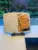 Cookbook and Tablet Stand for $10.00 – Sturdy Design for Desk and Kitchen Use