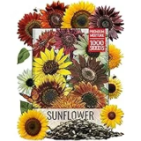 Crazy Sunflower Blend – 1000 Seeds for $5.79