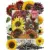 Crazy Sunflower Blend – 1000 Seeds for $5.79