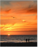 CVS Photo 16 x 20 Repositionable Posters for $5 $5.00
