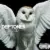 Deftones Diamond Eyes Audio CD for $5.20