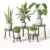 Delma Wood Plant Stands (Dark Brown, 5-Pack) for $24.99