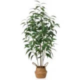 DR.Planzen 4ft Artificial Multi-Trunk Eucalyptus Tree for $36.29