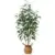 DR.Planzen 4ft Artificial Multi-Trunk Eucalyptus Tree for $36.29