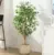 DR.Planzen 4′ Artificial Ficus Tree with Natural Wood Trunk – $24 at Walmart
