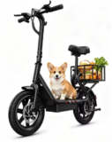 DYU C4 14-Inch Folding Electric Scooter – Now $150