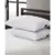 Eddie Bauer Jumbo Pillow 2-Pack for $13.99