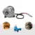 High Power 12V 250W Electric Gear Reduction DC Motor for E-Bike, Scooter, ATV – $53.25