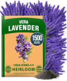 1,500+ English Lavender Seeds – $3.99 at Amazon (Clip Coupon)