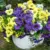 Fanfantoey Silk Pansy Artificial Flowers Now $15